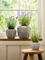 Cassington Linear Pot 14cm Grey