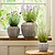 Cassington Linear Pot 14cm Grey