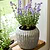 Cassington Linear Pot 24cm Grey