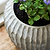 Cassington Linear Pot 24cm Grey