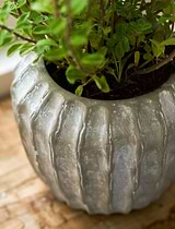Cassington Linear Pot 18cm Grey