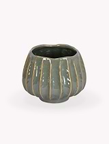 Osmington Pot 14cm Rosemary