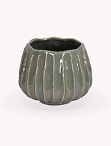 Osmington Pot 18cm Rosemary