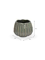 Osmington Pot 18cm Rosemary