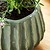 Osmington Pot 18cm Rosemary