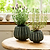 Osmington Pot 18cm Rosemary
