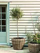 Kingscote Rattan Planter M Grey
