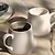 Coxwell Mugs Set of 2 Flint