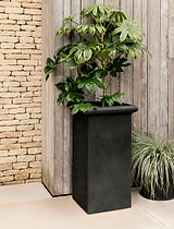 Portway Planter