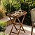Radley Butlers Tray & Stand Antique Wash