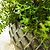 Wilcot Bowl 19cm Green