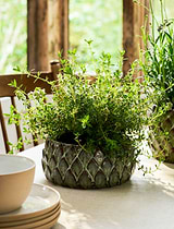 Wilcot Bowl 19cm Green