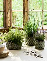 Wilcot Bowl 19cm Green