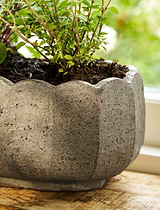 Lidstone Scallop Plant Pot Oval Grey