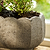 Lidstone Scallop Plant Pot Oval Grey