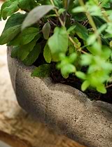 Lidstone Scallop Plant Pot Oval Grey