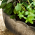 Lidstone Scallop Plant Pot Oval Grey