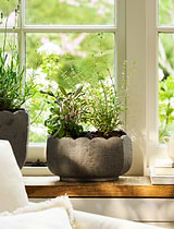 Lidstone Scallop Plant Pot Oval Grey
