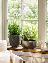 Lidstone Scallop Plant Pot Oval Grey