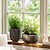 Lidstone Scallop Plant Pot Oval Grey