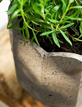 Lidstone Scallop Plant Pot 21.5cm Round Grey