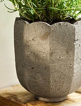 Lidstone Scallop Plant Pot 21.5cm Round Grey
