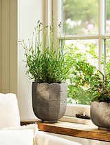 Lidstone Scallop Plant Pot 21.5cm Round Grey