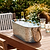 Wendlebury Oval Drinks Bucket Galvanised Steel