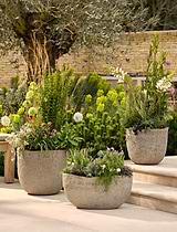 Cranford Planter 42 cm