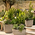 Cranford Planter 42 cm