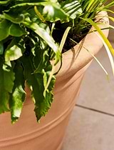 Newnham Planter 54 cm