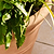 Newnham Planter 54 cm