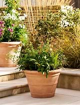 Newnham Planter 54 cm