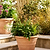 Newnham Planter 54 cm
