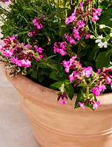 Newnham Planter 61 cm