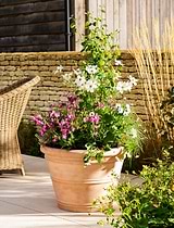 Newnham Planter 61 cm