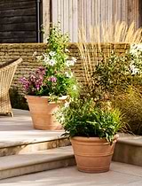Newnham Planter 61 cm
