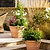 Newnham Planter 61 cm