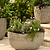 Cranford Planter Oval
