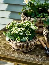 Kingscote Rattan Plant Bowl 30cm Grey