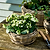 Kingscote Rattan Plant Bowl 30cm Grey