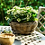 Kingscote Rattan Plant Bowl 30cm Grey