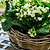 Kingscote Rattan Plant Bowl 30cm Grey