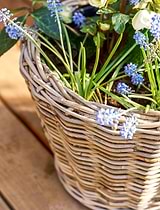 Kingscote Rattan Plant Pot 33cm Grey