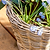 Kingscote Rattan Plant Pot 33cm Grey