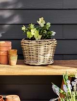 Kingscote Rattan Plant Pot 20cm Grey