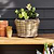 Kingscote Rattan Plant Pot 20cm Grey