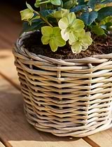 Kingscote Rattan Plant Pot 20cm Grey