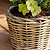 Kingscote Rattan Plant Pot 20cm Grey