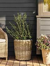 Kingscote Tall Rattan Planter 52cm Grey